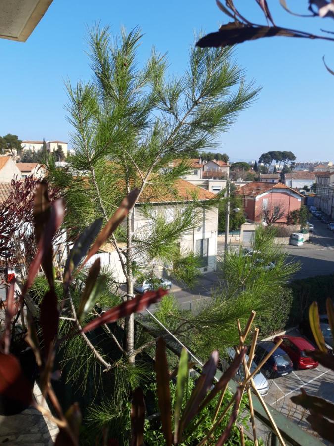 Chambre D'Hote Zen Chez Philippe Marseille Eksteriør bilde